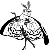 coloriage 1001 pattes papillon magnifique